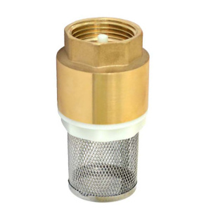 Клапан обратный  пружинный Ду 25   с сеткой